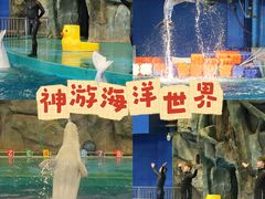 -威海华夏城景区