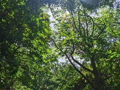 -终南山南五台景区