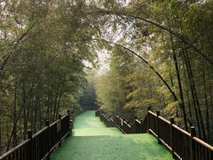 -陶祖圣境风景区