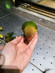 -酷嗒动物文化乐园(cutezoo西溪乐天城店)