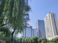 -团结湖公园