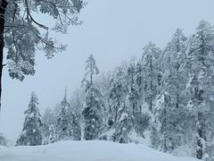 -瓦屋山景区