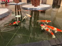 -唐山河头老街国丰维景国际大酒店