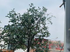 -素心小筑(后沙裕镇店)