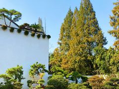 -龙华素斋(龙华路店)