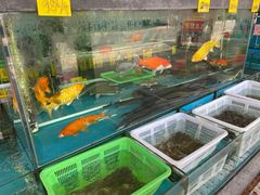 水产区-崖口红树林海鲜餐厅