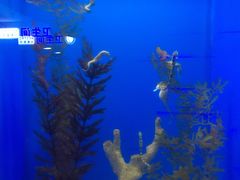 -青岛海底世界-水族馆