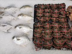 -果蔬好生活超市(乐堤港店)