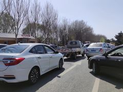 -丁香湖公园