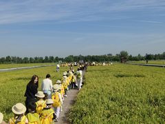 -杨梅红艺术教育(万象城教学中心)