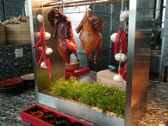 门面-上海柏悦酒店·世纪100牛排馆
