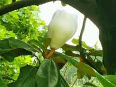 -贵阳市花溪国家城市湿地公园