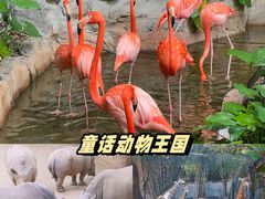 -长鹿旅游休博园