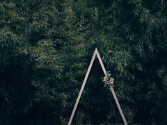 景点-同里国家湿地公园