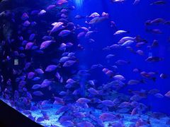 -成都浩海立方海洋公园