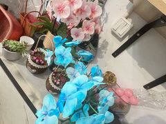 -FEI FEI FLOWER鲜花店·气球派对·宝宝宴布置(虹口德必运动Loft店)