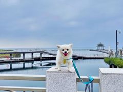 -苏州太湖国际会议中心