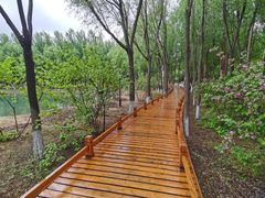 -吉林大学(前卫南校区)