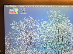 -华夏良子·足道SPA艾灸(王府井店)