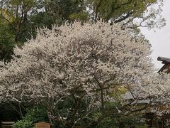 -热田神宫