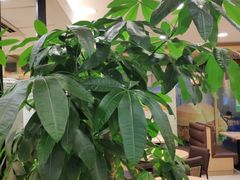 -德克士(宽甸店)