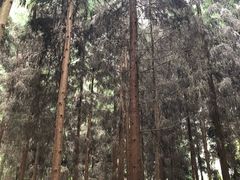 -武隆天坑地缝国家地质公园
