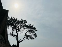 -丹东市五龙山风景区