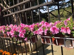 -人民公园(罗湖区)