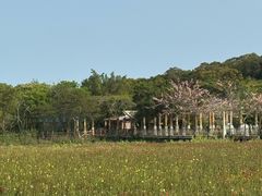 -丹樱生态园