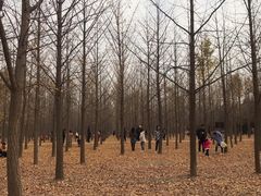 -汉景帝阳陵博物院