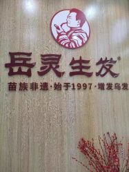 -岳灵生发养发馆