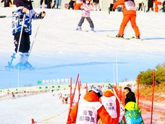 -华彬猛犸滑雪场