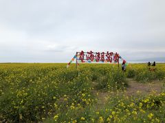 -青海湖国家重点风景名胜区