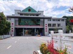 -打洛口岸