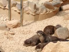 -昆明动物园
