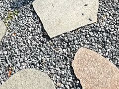 -懒人Club运动健身·运动康复·私教(三迪中心店)