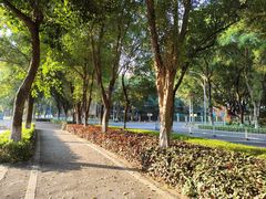 -华南师范大学(广州大学城校区)