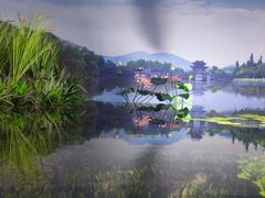 -江和美海洋公园