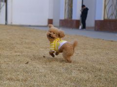 -北化机爱工场文化科技融合产业园