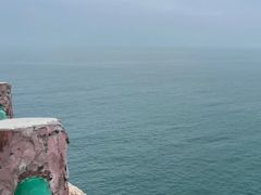 -广东惠东海龟国家级自然保护区