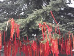 -法门文化景区