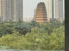 -真爱中国餐馆·年华店(朱雀大街店)