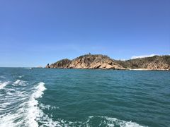 -小猫钓鱼海钓俱乐部(椰梦长廊店)