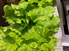 -臻牛烤肉