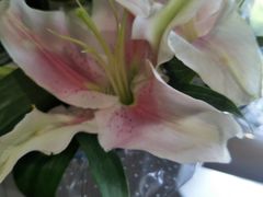 -北京华联合肥长江西路购物中心