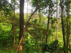 -水濂山森林公园