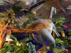 -恐龙探索乐园(磁器口店)