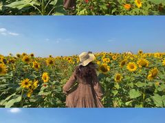 -映月湖中央公园