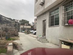 -北岐滩涂