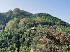 -莫干山风景区